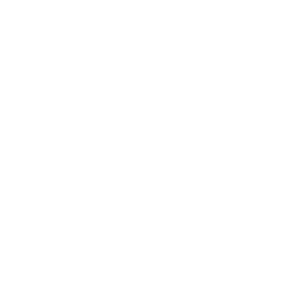 ElSewedy SEI